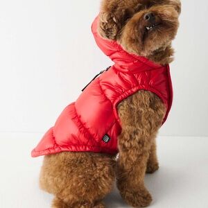 The Super Ruff Puff - Hi Gloss Size Small